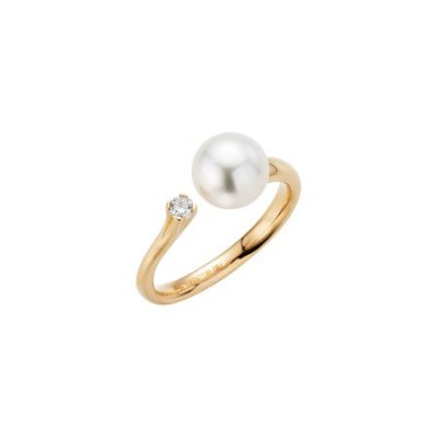 H2O Ring