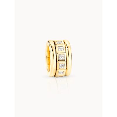 CURRICULUM VITAE Ring