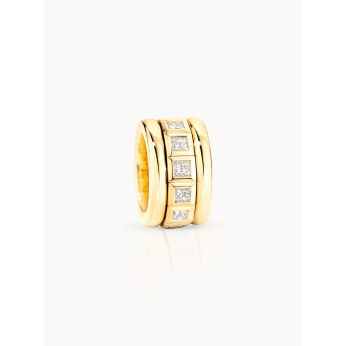 CURRICULUM VITAE Ring