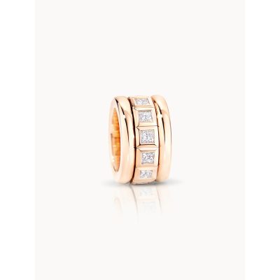 CURRICULUM VITAE Ring