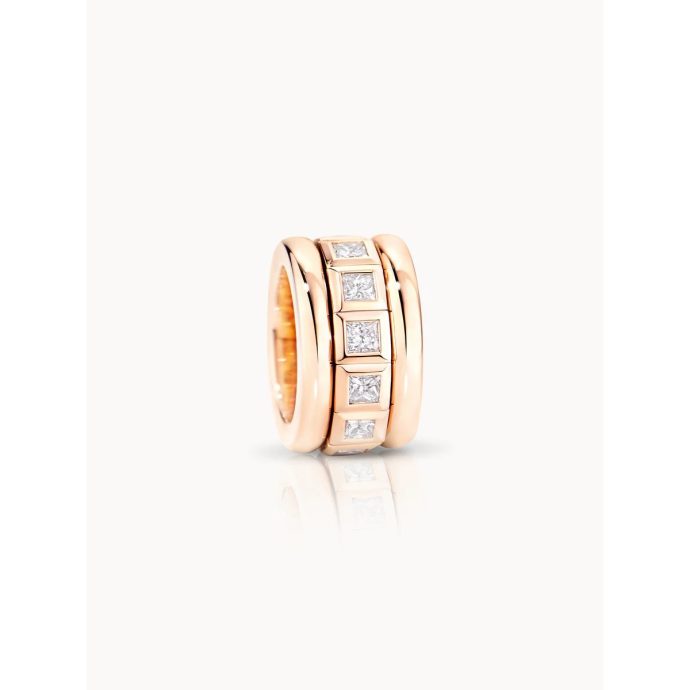 CURRICULUM VITAE Ring