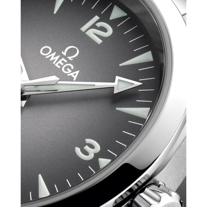 Seamaster Railmaster – Bild 5