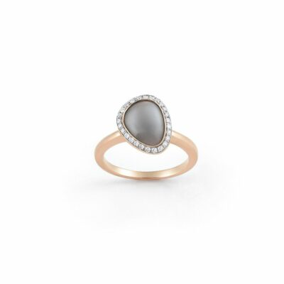 Ring Amici