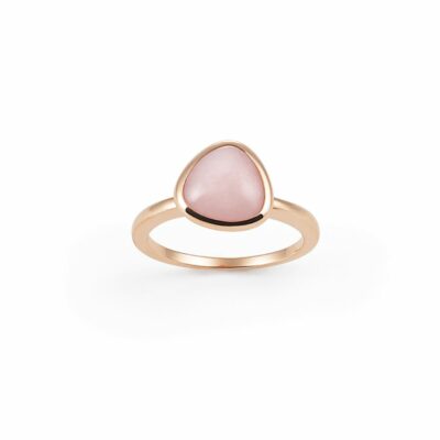 Ring Amici