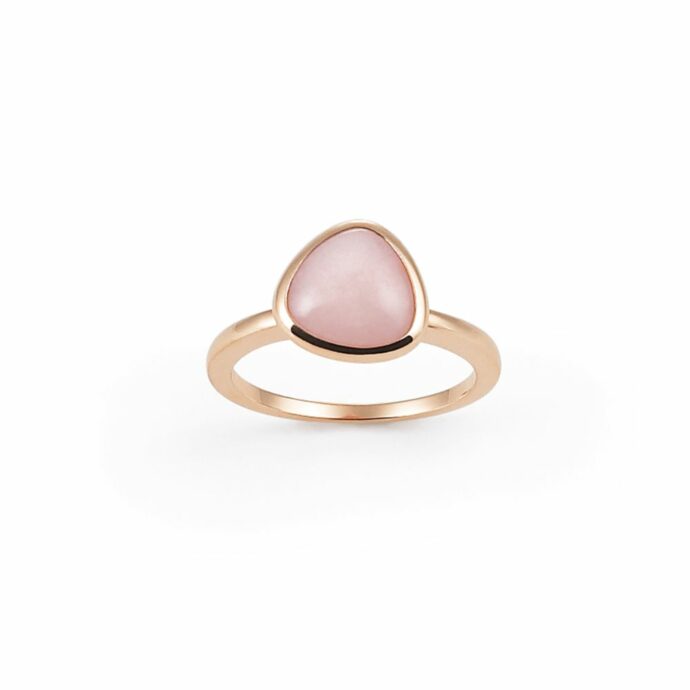 Ring Amici