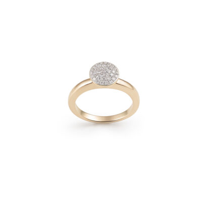 Ring Amici