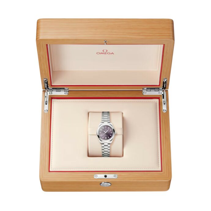 Seamaster Aqua Terra – Bild 8