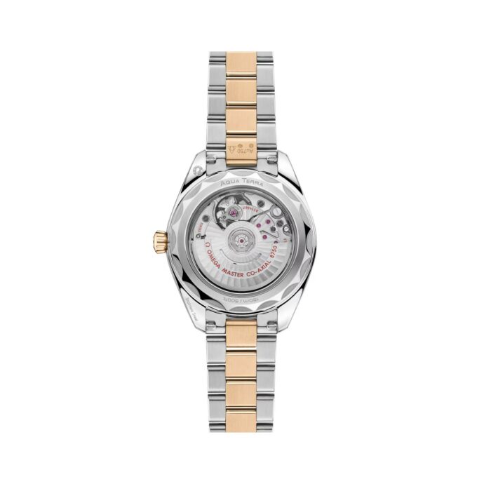Seamaster Aqua Terra – Bild 2
