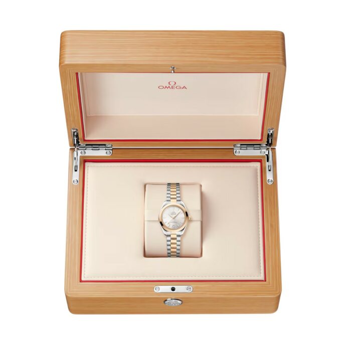 Seamaster Aqua Terra – Bild 10