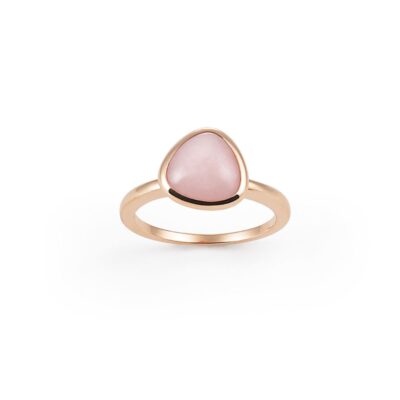Ring Amici