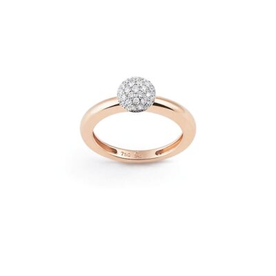Ring Amici