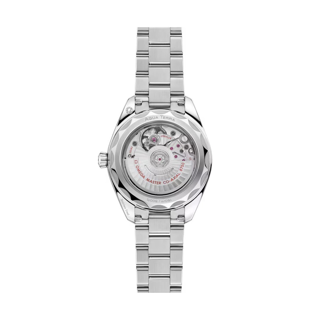 Seamaster Aqua Terra