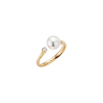 H2O Ring