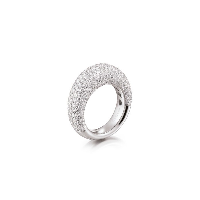 Ring Amori