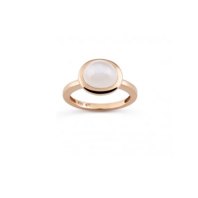 Ring Amici